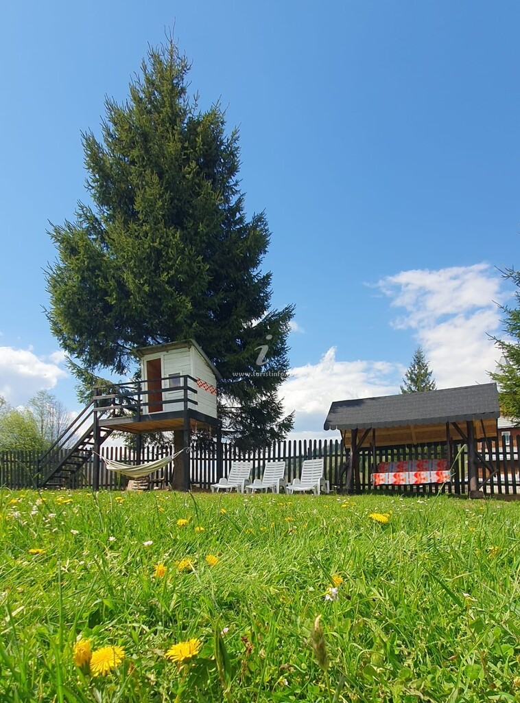 Casa de vacanță Viorica