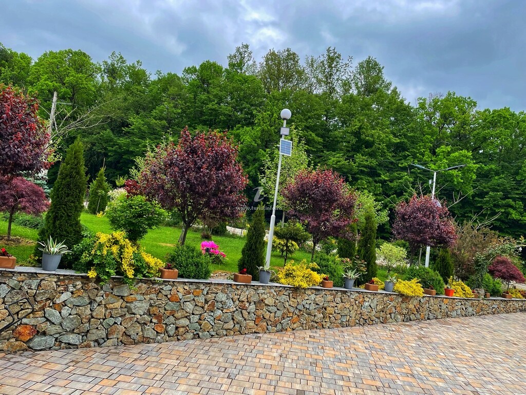 Pensiunea Rem Garden