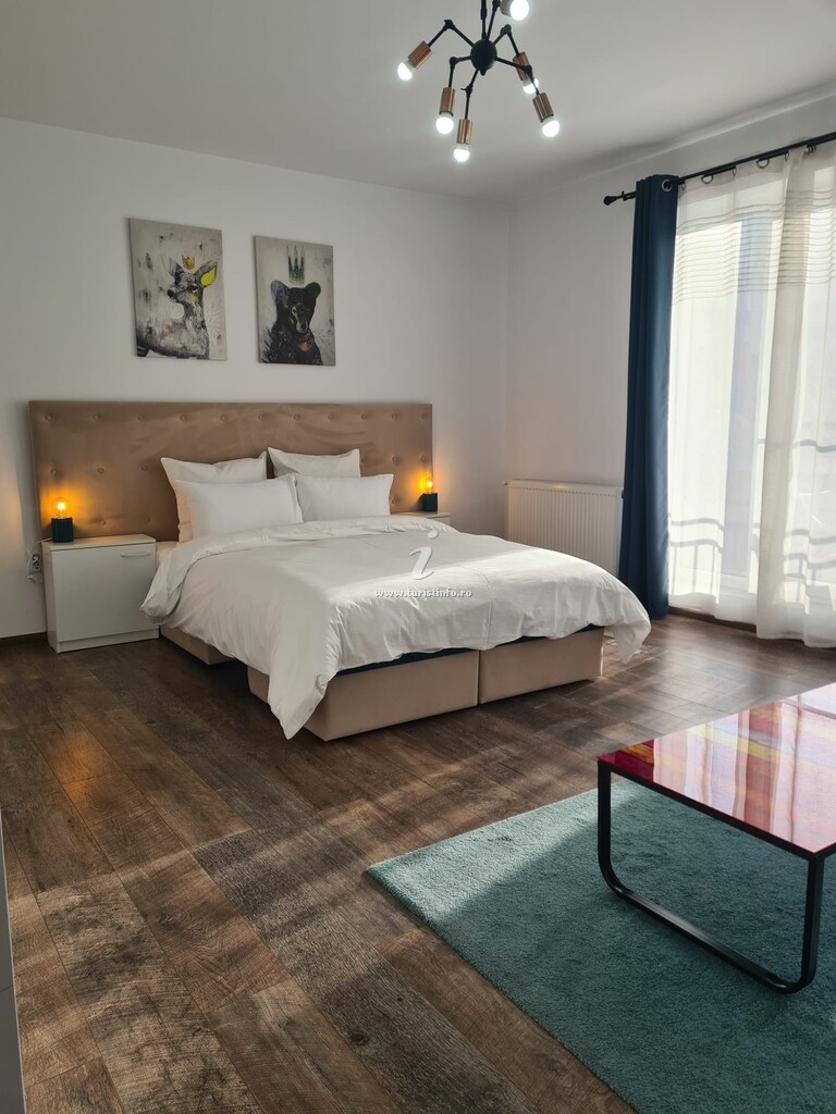Studio și Apartament Oasis Suite