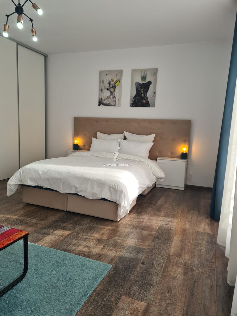 Studio și Apartament Oasis Suite