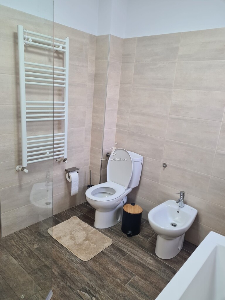 Studio și Apartament Oasis Suite