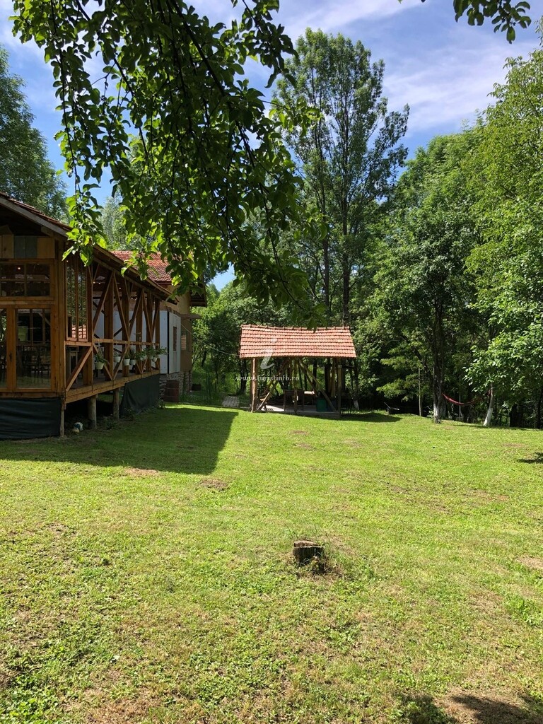 Camping Mesteceni Glamping