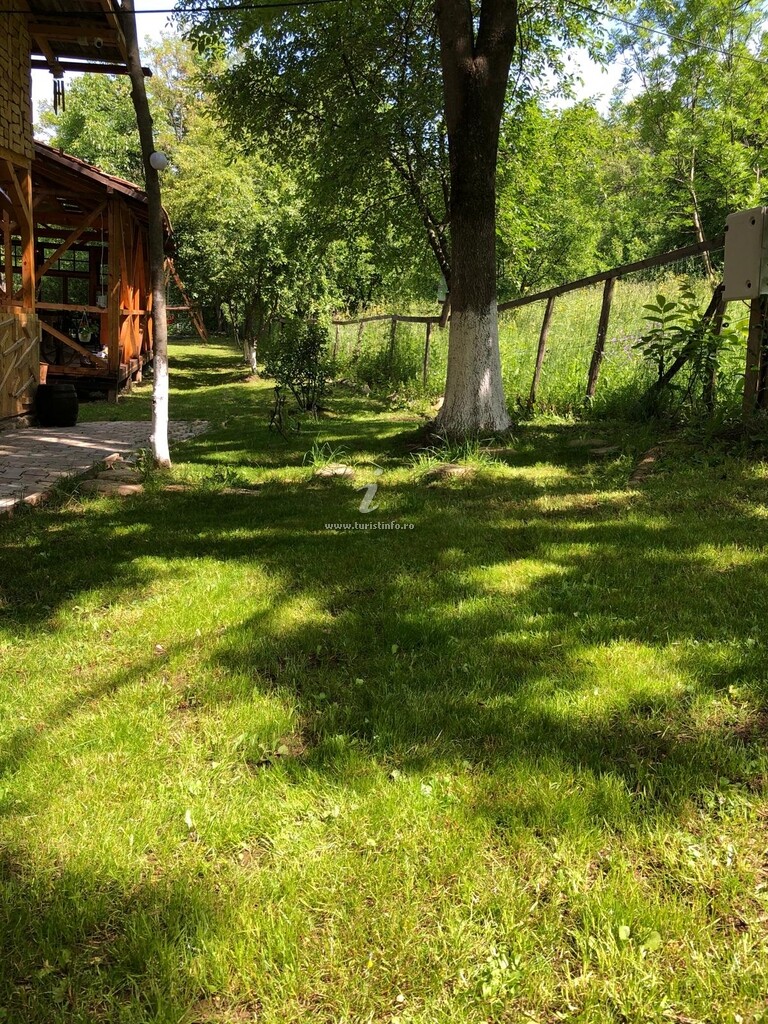 Camping Mesteceni Glamping