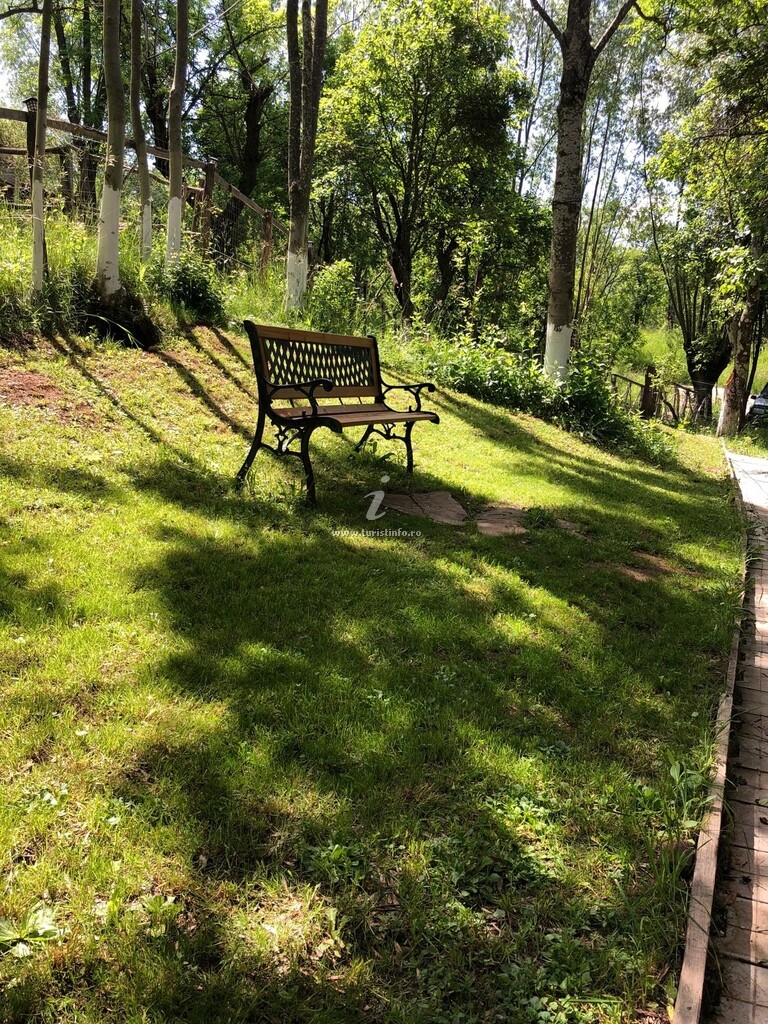 Camping Mesteceni Glamping