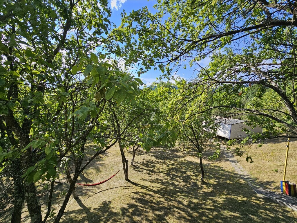 Camping Mesteceni Glamping