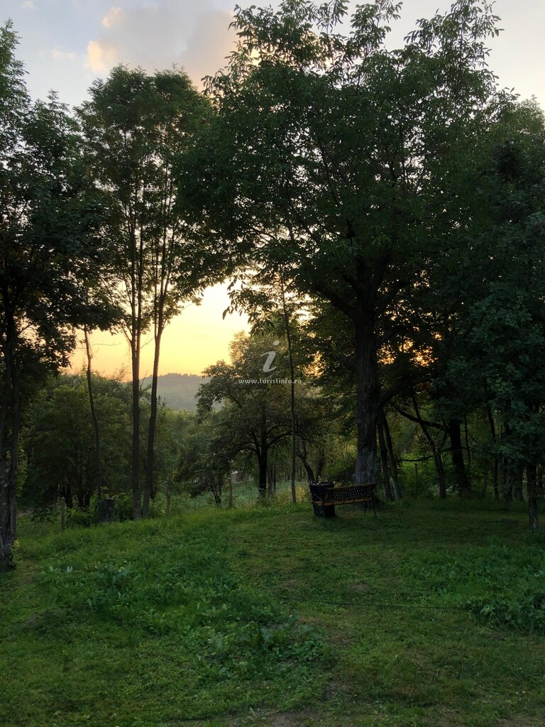 Camping Mesteceni Glamping