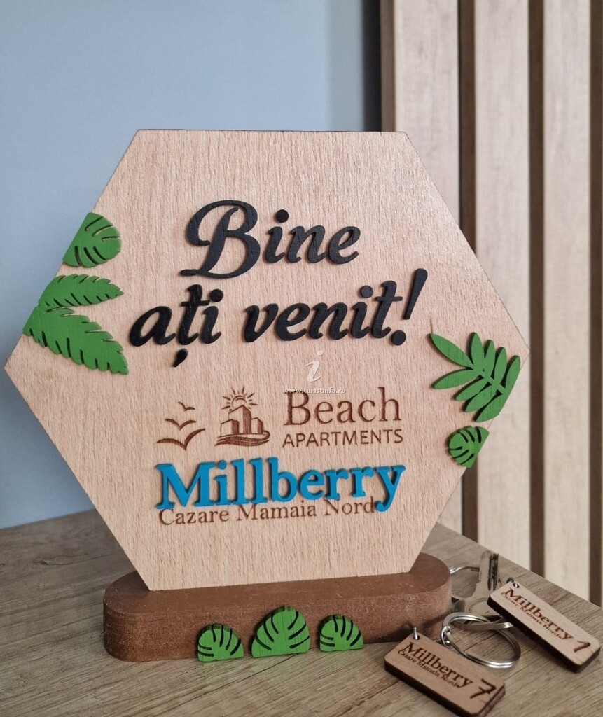 Apartamente Millberry
