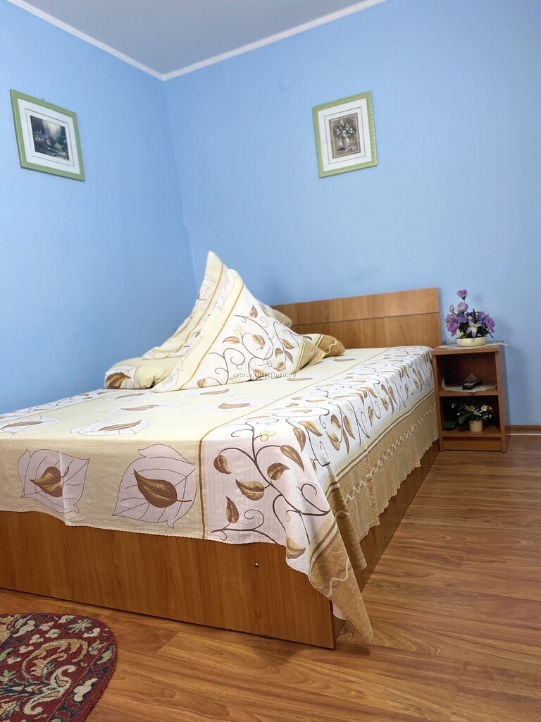 Camere de închiriat Acropolis