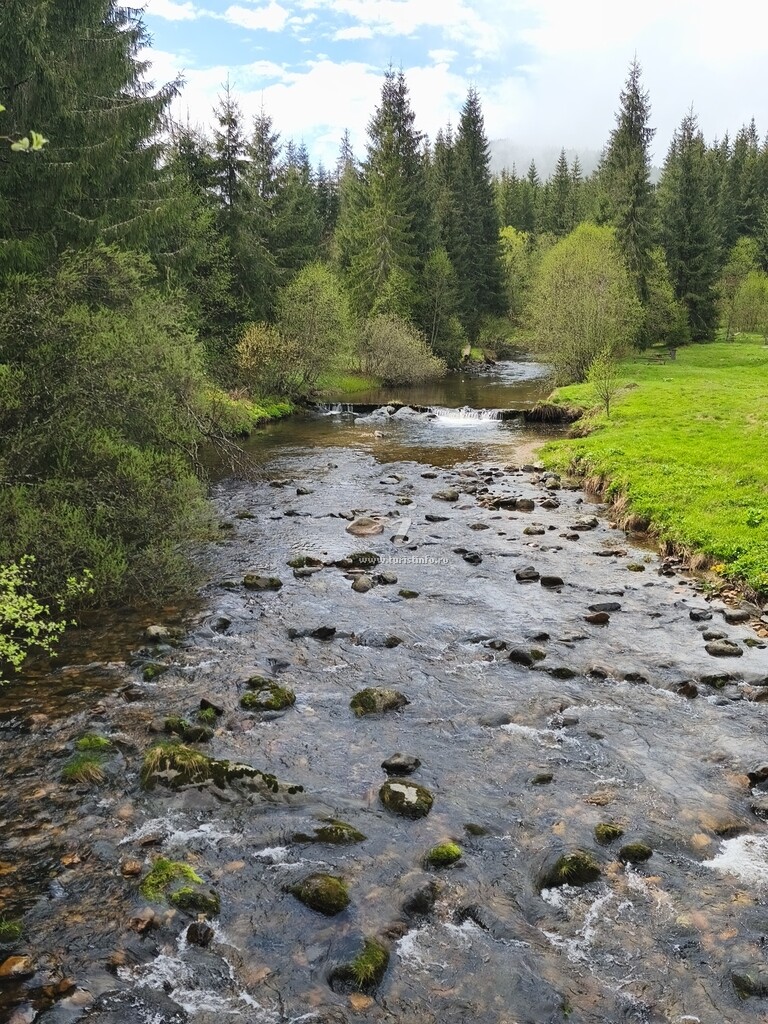 Pensiunea Larix