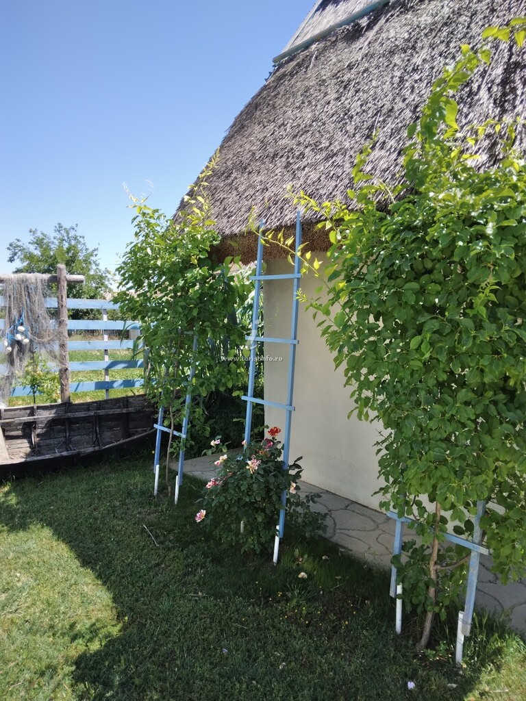 Pensiunea Agroturistică Rustic