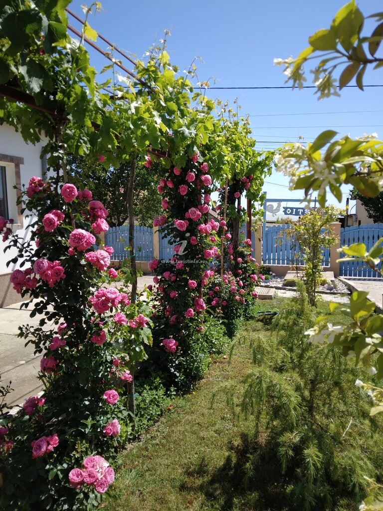 Pensiunea Agroturistică Rustic