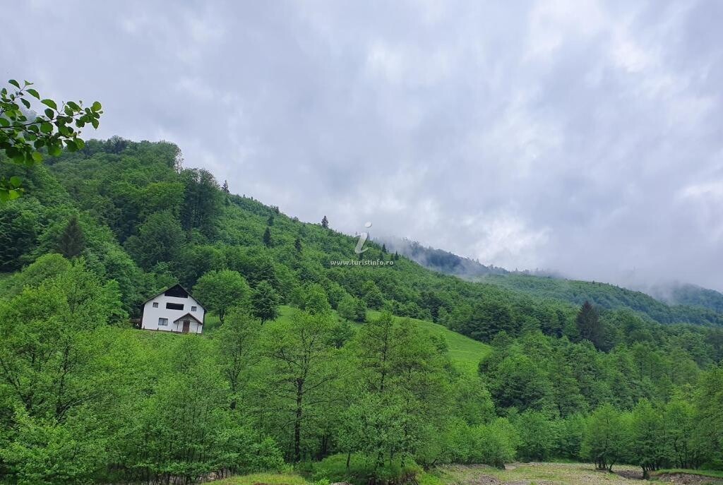 Cabana Zăvoarele