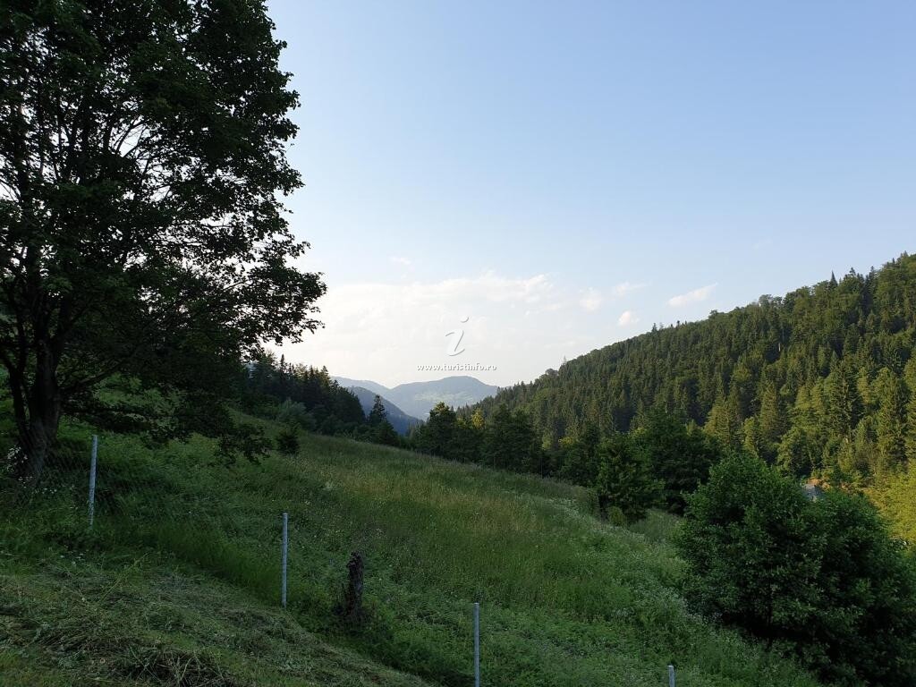 Cabana Zăvoarele