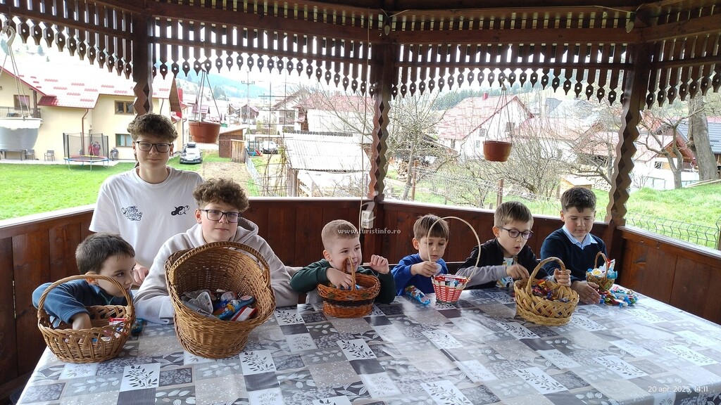 Pensiunea Agroturistică Ștefan Viorica