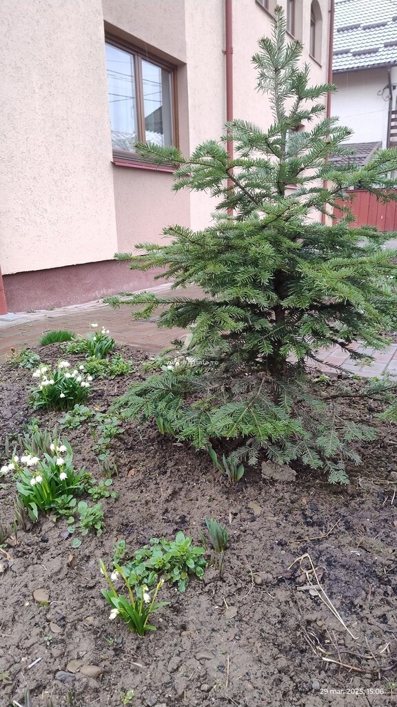 Pensiunea Agroturistică Ștefan Viorica