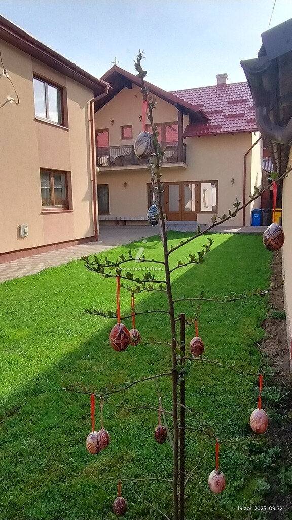 Pensiunea Agroturistică Ștefan Viorica