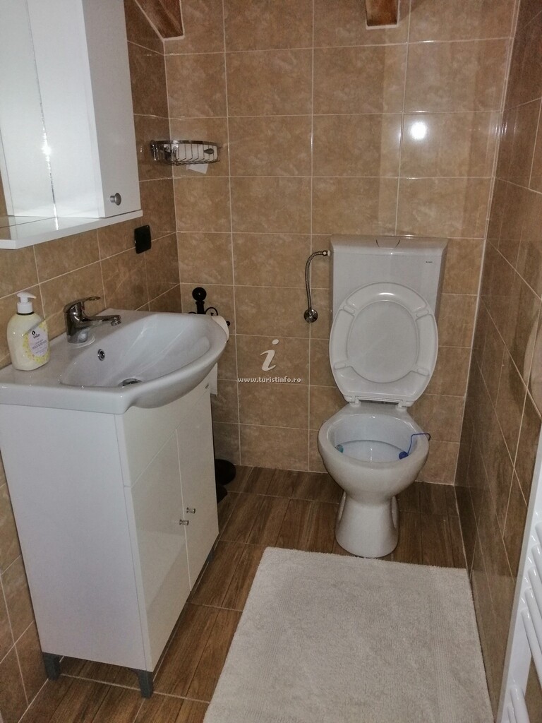 Camere de închiriat Casa Denis