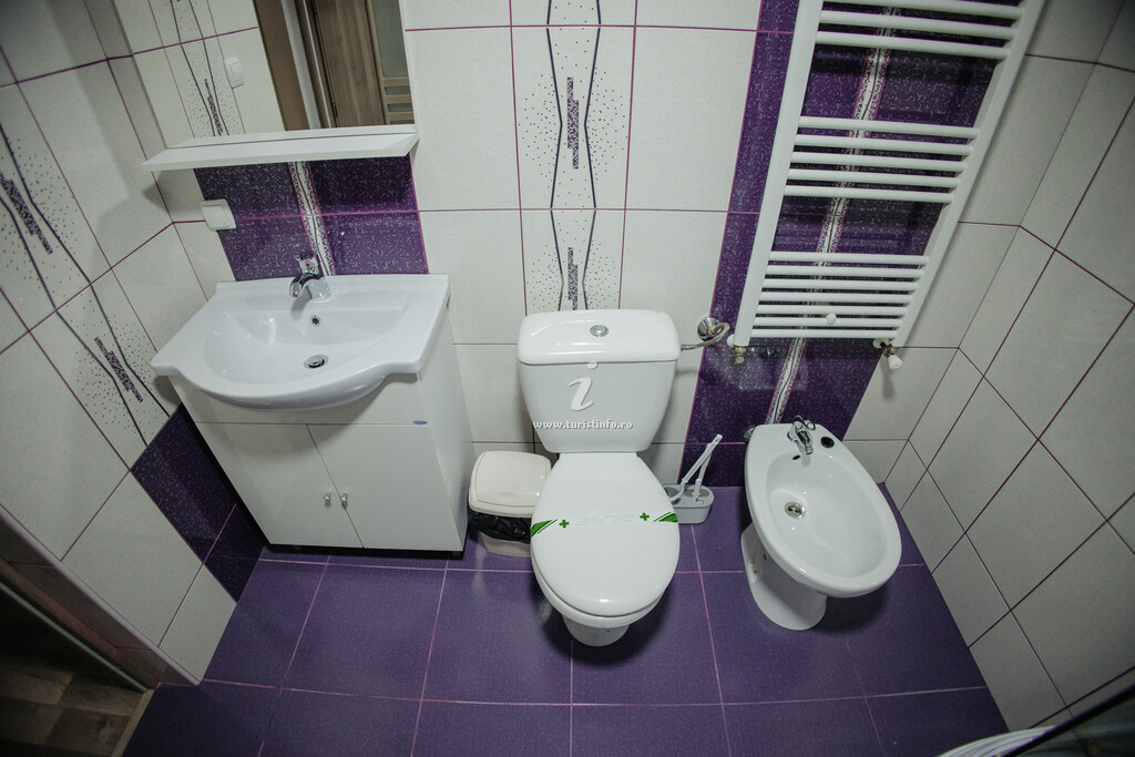 Camere de închiriat Boierița