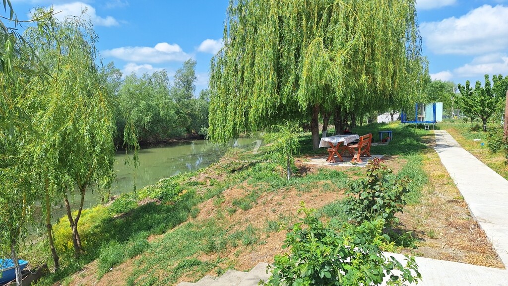 Camere de închiriat Matei