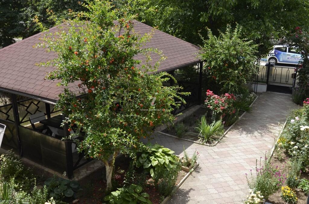 Vila Casa Dinu