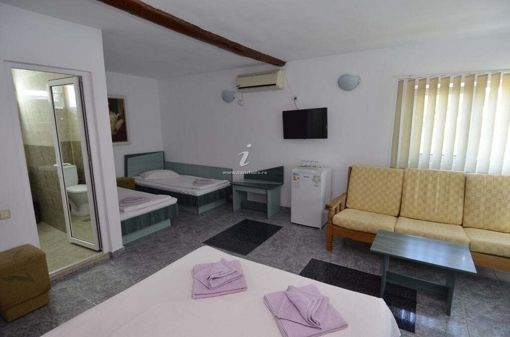 Vila Casa Dinu
