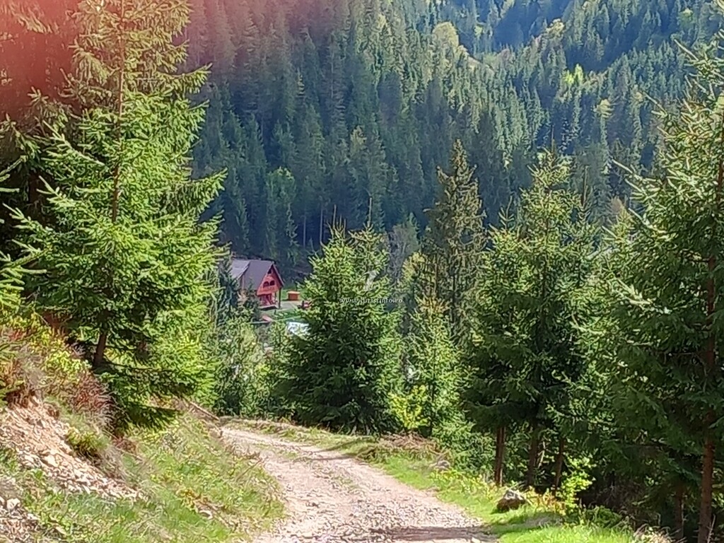 Cabana Armina și Andrei