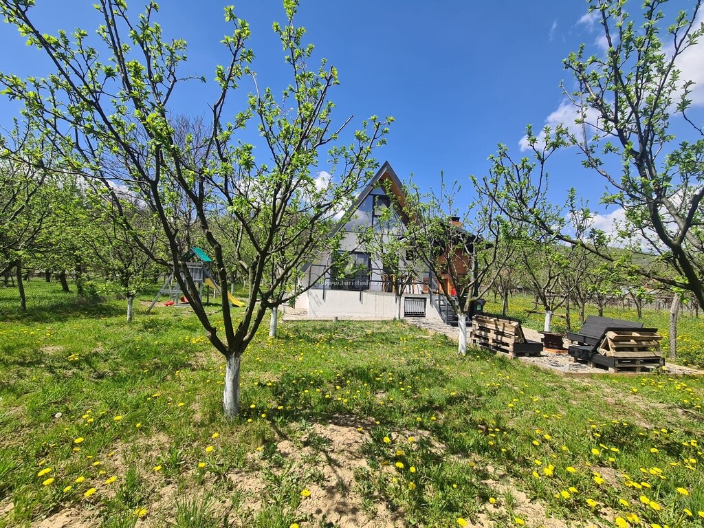 A-frame The House