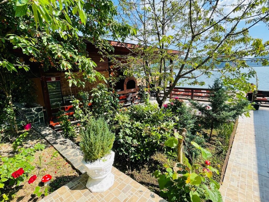 Casa Camelia