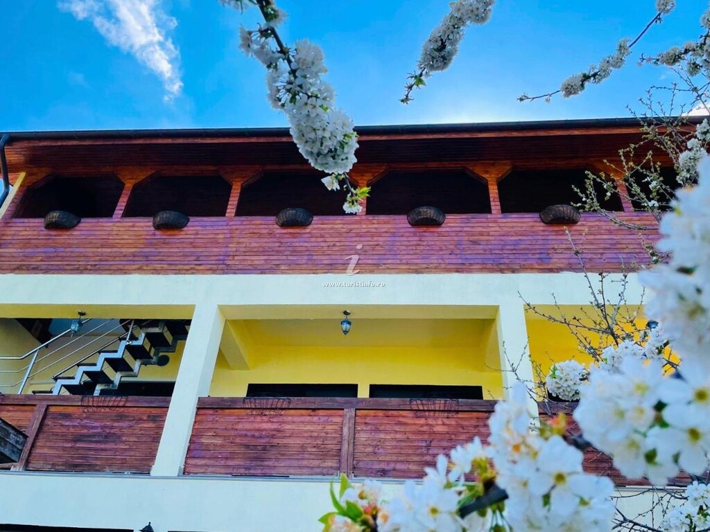 Casa Camelia
