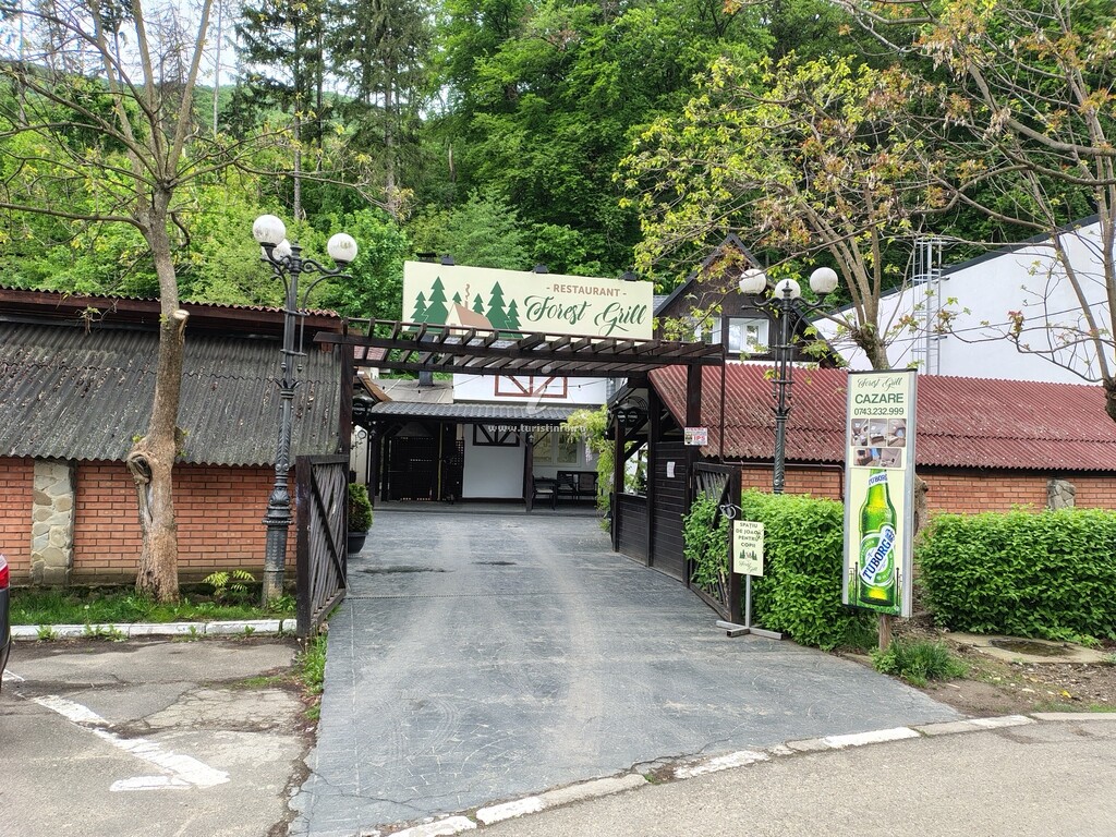 Camere de închiriat Forest Grill