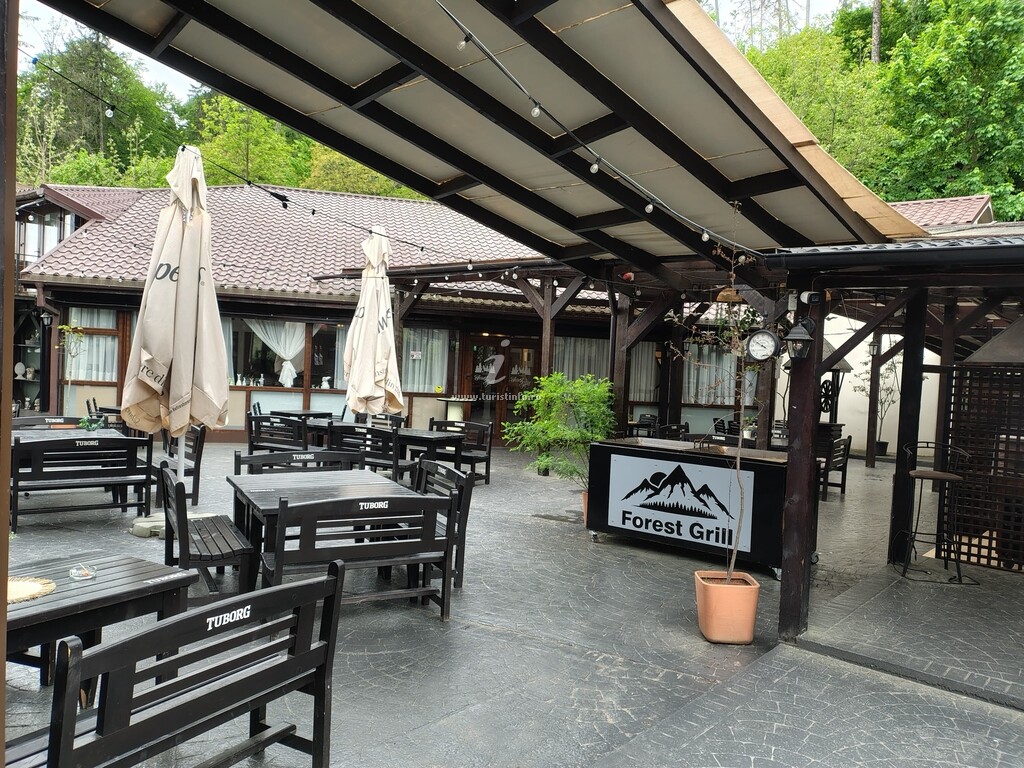 Camere de închiriat Forest Grill