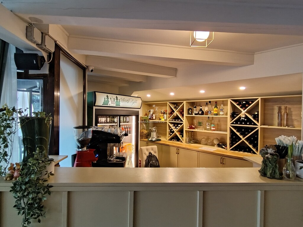 Camere de închiriat Forest Grill