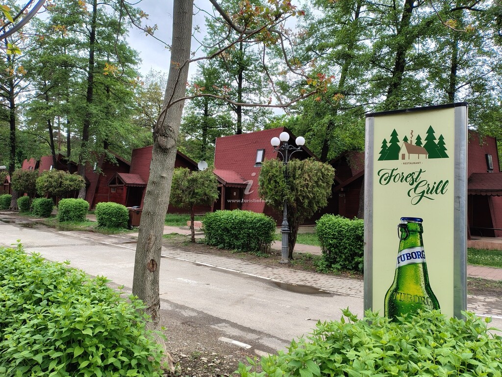 Camere de închiriat Forest Grill