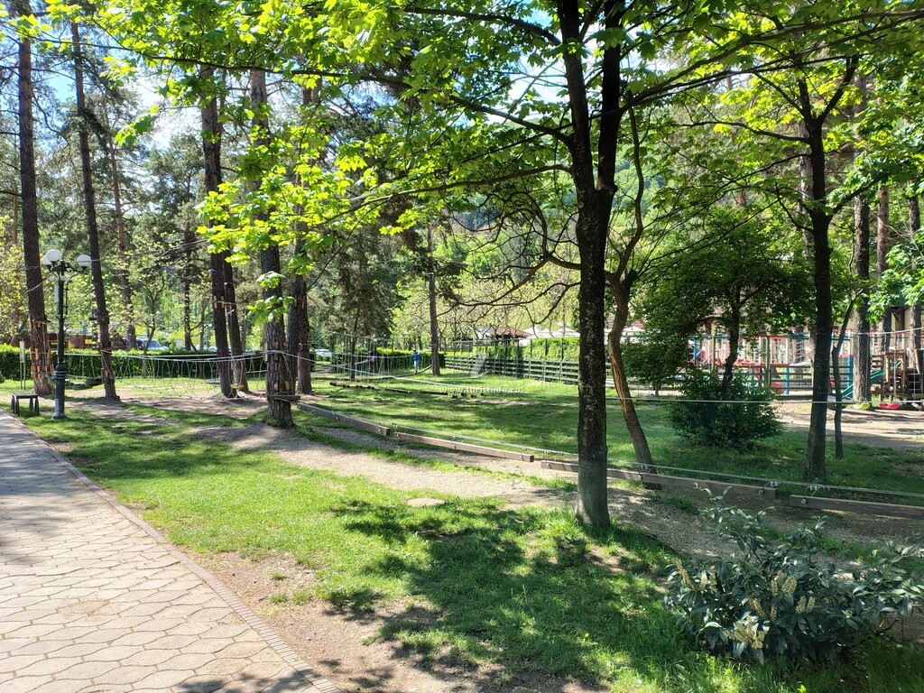Camere de închiriat Forest Grill