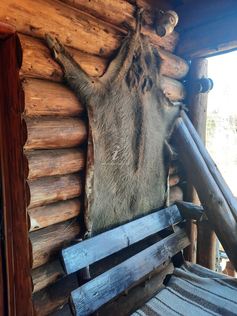 Cabana Beliș Dealu-Negru