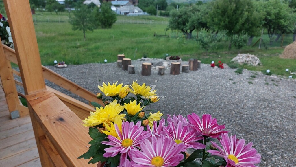 Căsuța Tiny Moldovibe