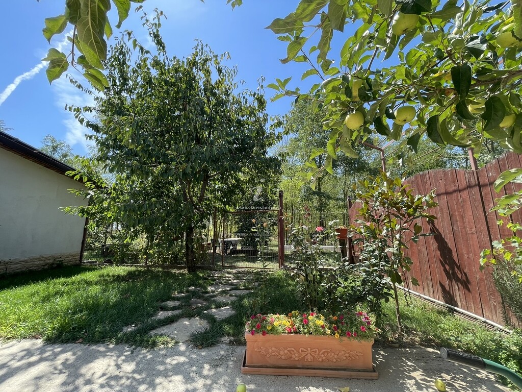 Vila din Salcâmi