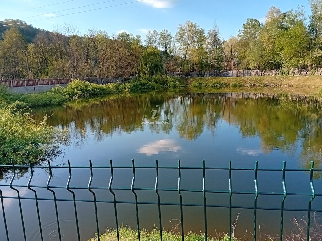 Căsuța din Pădure