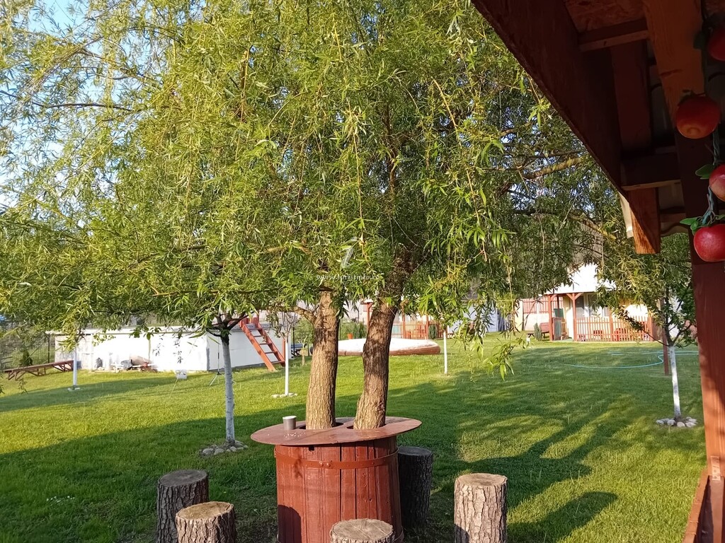 Căsuța din Pădure