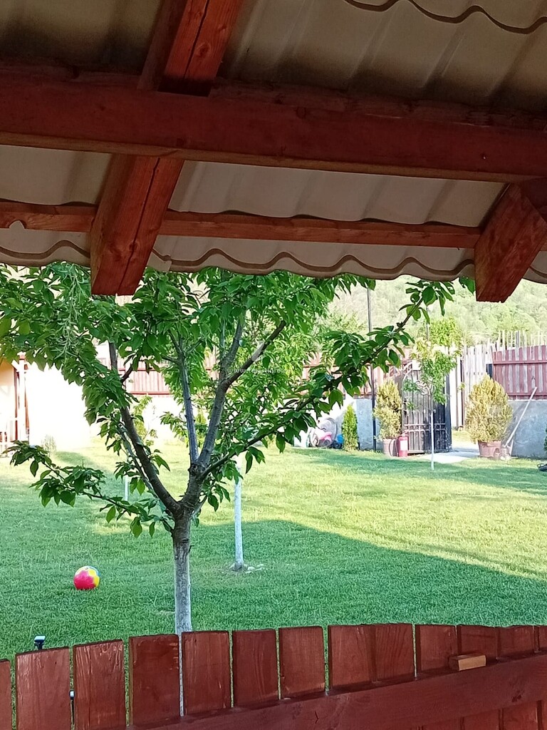 Căsuța din Pădure