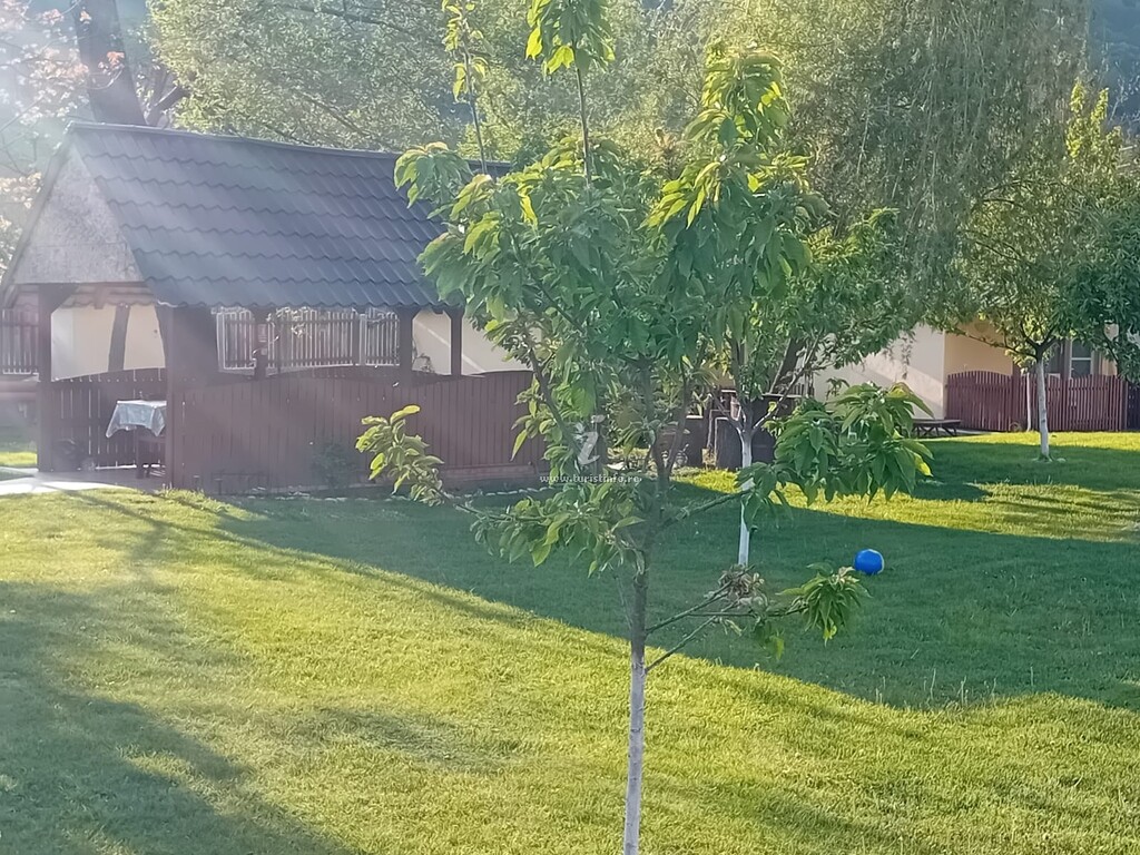 Căsuța din Pădure