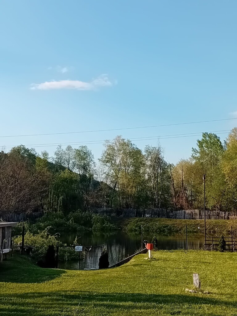 Căsuța din Pădure
