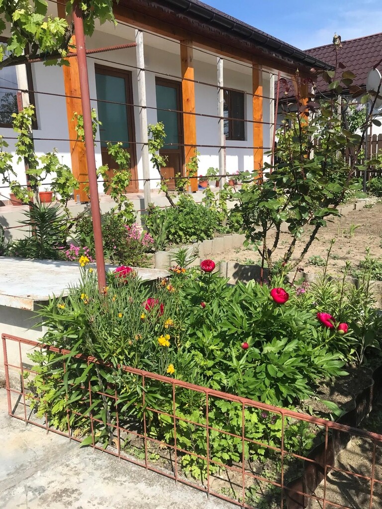 Casa Liliana