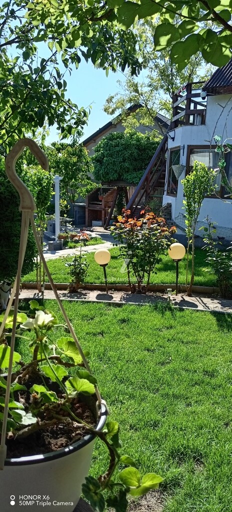 Casa Chițu
