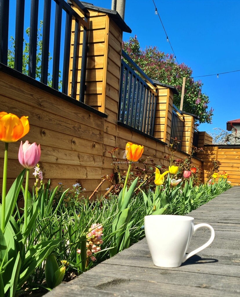 Hotel-Apartament Rădăcini