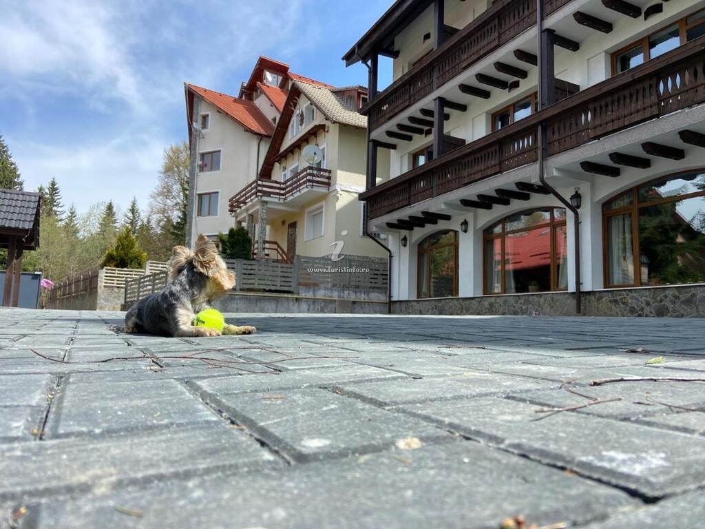 Camere de închiriat Chalet Wiese