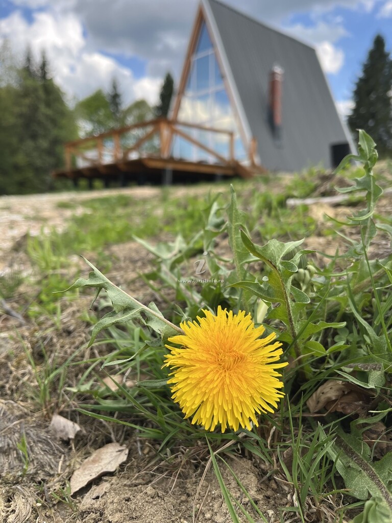 A-frame Valea lui Neag