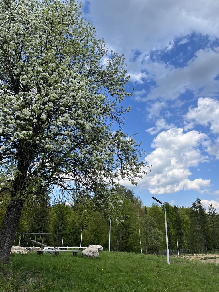 A-frame Valea lui Neag