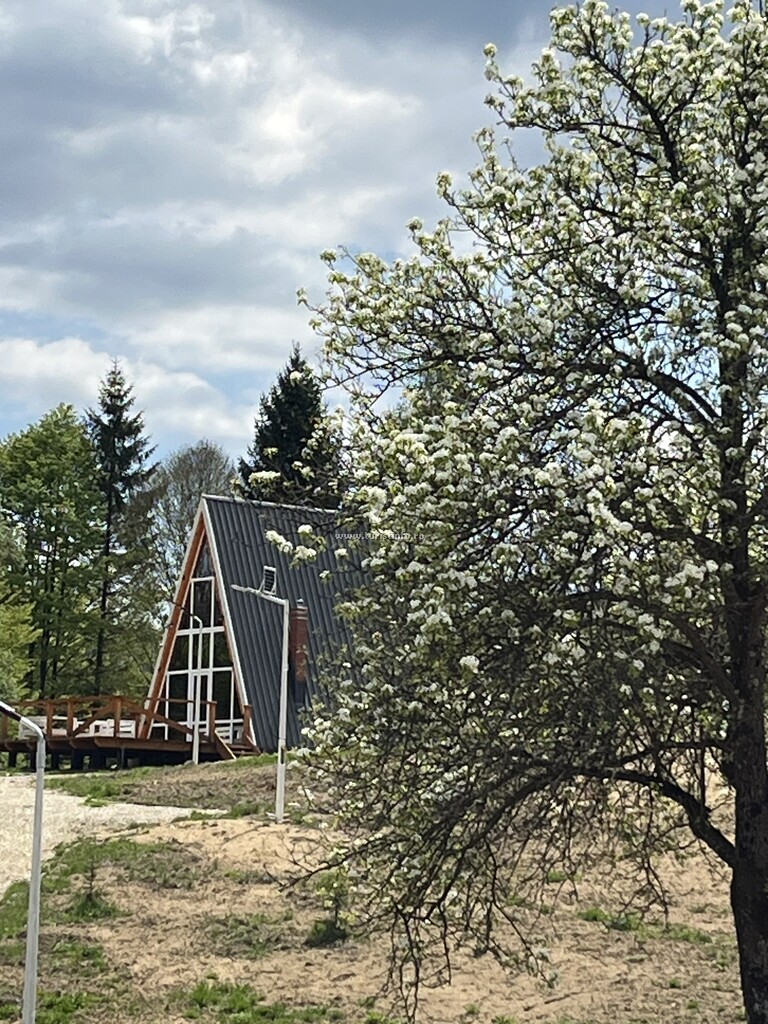 A-frame Valea lui Neag