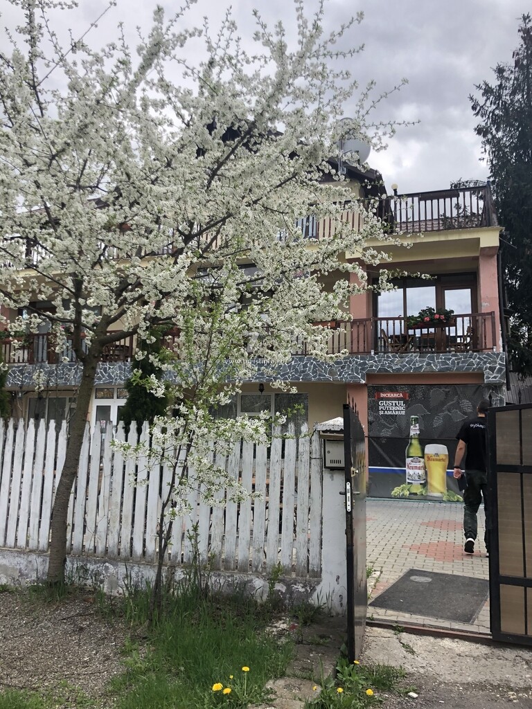 Camere de închiriat Grand Leone